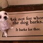 12 things only dog owners will understand