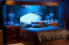 11 beds that are indefinitely better than yours