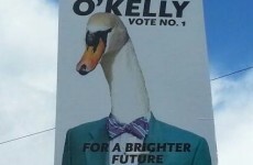 Bray has some very unusual local election candidates