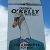 Bray has some very unusual local election candidates