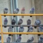 University forced to cancel exams after pigeons invade hall