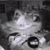CCTV captures the moment a bear breaks into a house