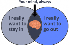 11 charts and graphs to sum up your Friday night