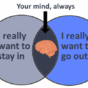 11 charts and graphs to sum up your Friday night