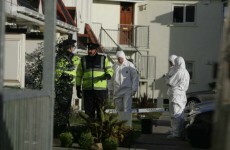 Coroner's court hears garda surprised no prosecution taken over Baiba Saulite death
