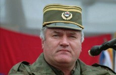 Mladic spends his first night in The Hague in solitary confinement