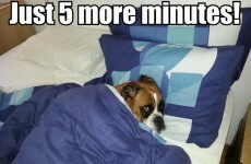 12 problems only chronically late people will understand