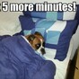12 problems only chronically late people will understand