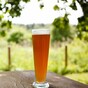In Ireland, good weather equals big profits for Bulmers