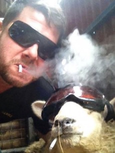 10 farm selfies that prove the word 'felfie' should be in the dictionary