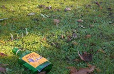 Buckfast cans will NOT be sold in Ireland
