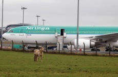Aer Lingus and pilots' union to meet with LRC in bid to avoid strike action