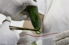 E.coli outbreak 'could last months'