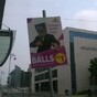 There's a 'ballsy' new party looking for your vote