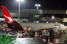 Rats on a plane: Qantas grounds flight after baby rodents found