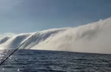 Massive wall of fog turns peaceful lake into a scene from a horror movie