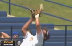 Baseball bounces off fielder's head into teammate's grateful glove