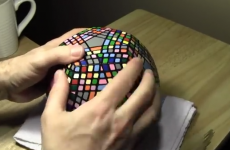 You could literally watch this video all day