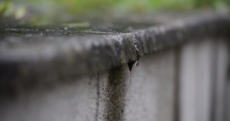 This is the most hypnotic Irish rainy day video we've seen