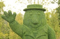 There's a giant Mr Tayto bush in Dublin
