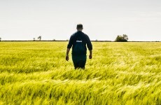 Booklet launched to combat "suicide crisis" and increase in rural isolation