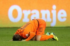 Rafael van der Vaart is out of the World Cup
