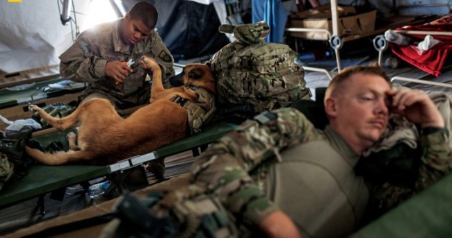 Photos show the special bond between combat dogs and their handlers