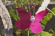 Camp for sick children will put Bloomin' lovely garden to fun use