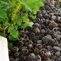 6 indispensable lifehacks for your garden this summer