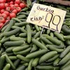 "No proof" that vegetables to blame for E.coli outbreak