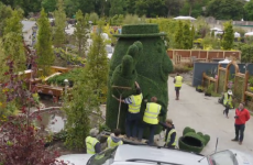 Here's exactly how much effort went into Mr Tayto's bush