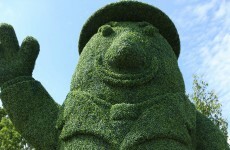 Here's how a garden is put into Bloom