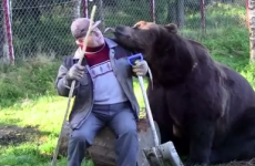 Sulo and his bears have the friendship you wish you had