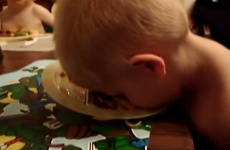 Nothing will stop this sleepy kid from taking a nap in his dinner