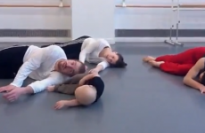 Baby leads adults in unbearably cute interpretive dance