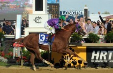 Can 'America's horse' win the first Triple Crown in 36 years?