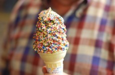 Woman calls 999 to moan that her ice cream didn't have enough sprinkles