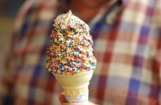 Woman calls 999 to moan that her ice cream didn't have enough sprinkles