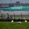 Aer Lingus management and union reps to hold talks at Dublin Airport today