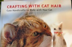 16 products you won't believe actually exist