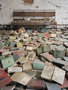 16 unbelievable images of nature taking back a deserted New York City island