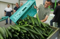 EU ministers to hold crisis talks as search for E. coli source goes on