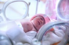 Contaminated food linked to death of baby and poisoning of 14 others