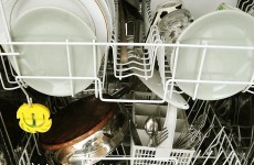 Do you have a Bosch, Siemens or Neff dishwasher made before 2006? You might want to read this
