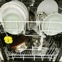 Do you have a Bosch, Siemens or Neff dishwasher made before 2006? You might want to read this