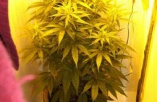 Man and woman in their 50s arrested over €250,000 drugs bust