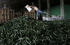 EU Commission proposes €150m fund for farmers affected by E.coli outbreak