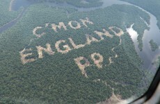 UPDATE: Paddy Power did not cut down a single Amazonian tree