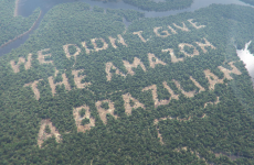 UPDATE: Paddy Power confirm rainforest stunt was computer wizardry