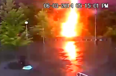 This is why you shouldn't stand under a tree during a thunderstorm